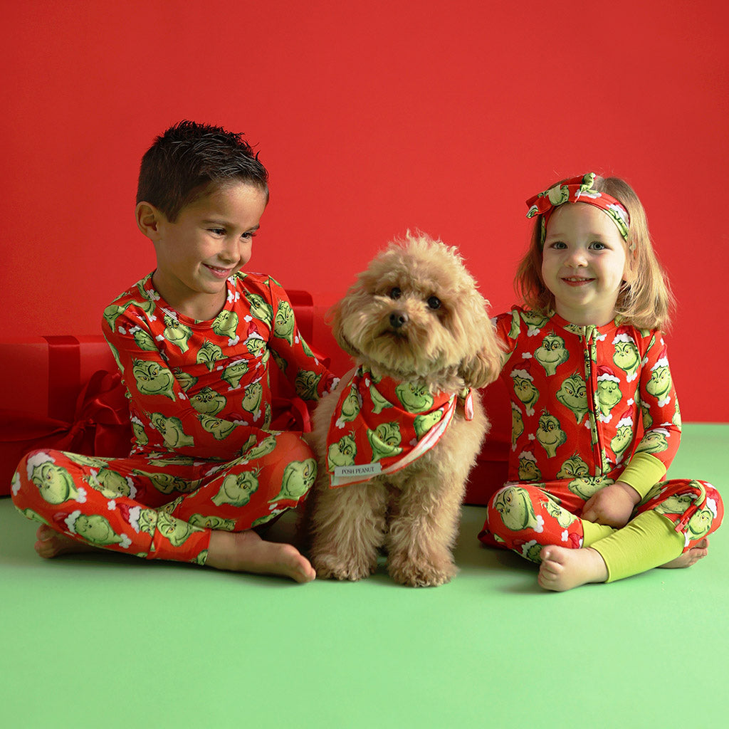 Dr. Seuss The Grinch Dog Bandana