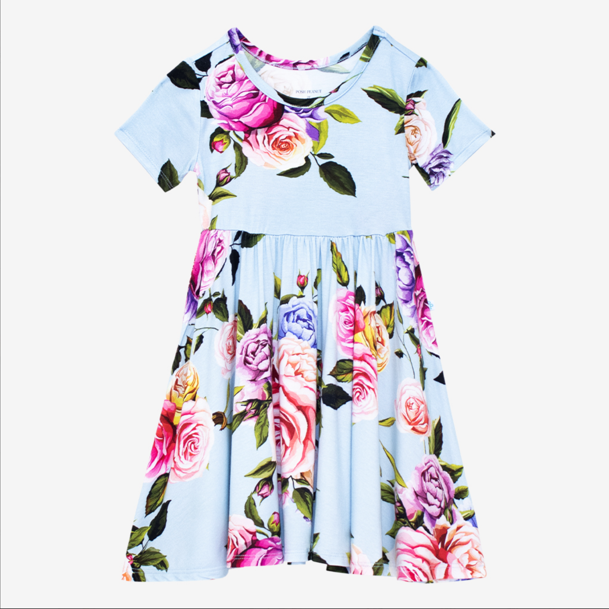 Country Rose Twirl Dress